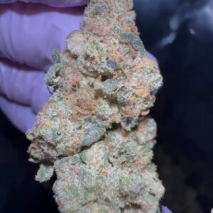 canndescent weed