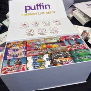 puffin disposable