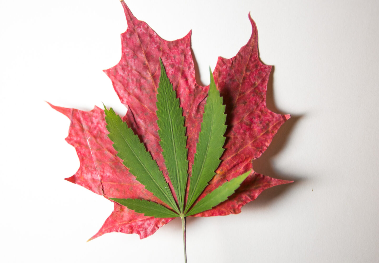 canada cannabis