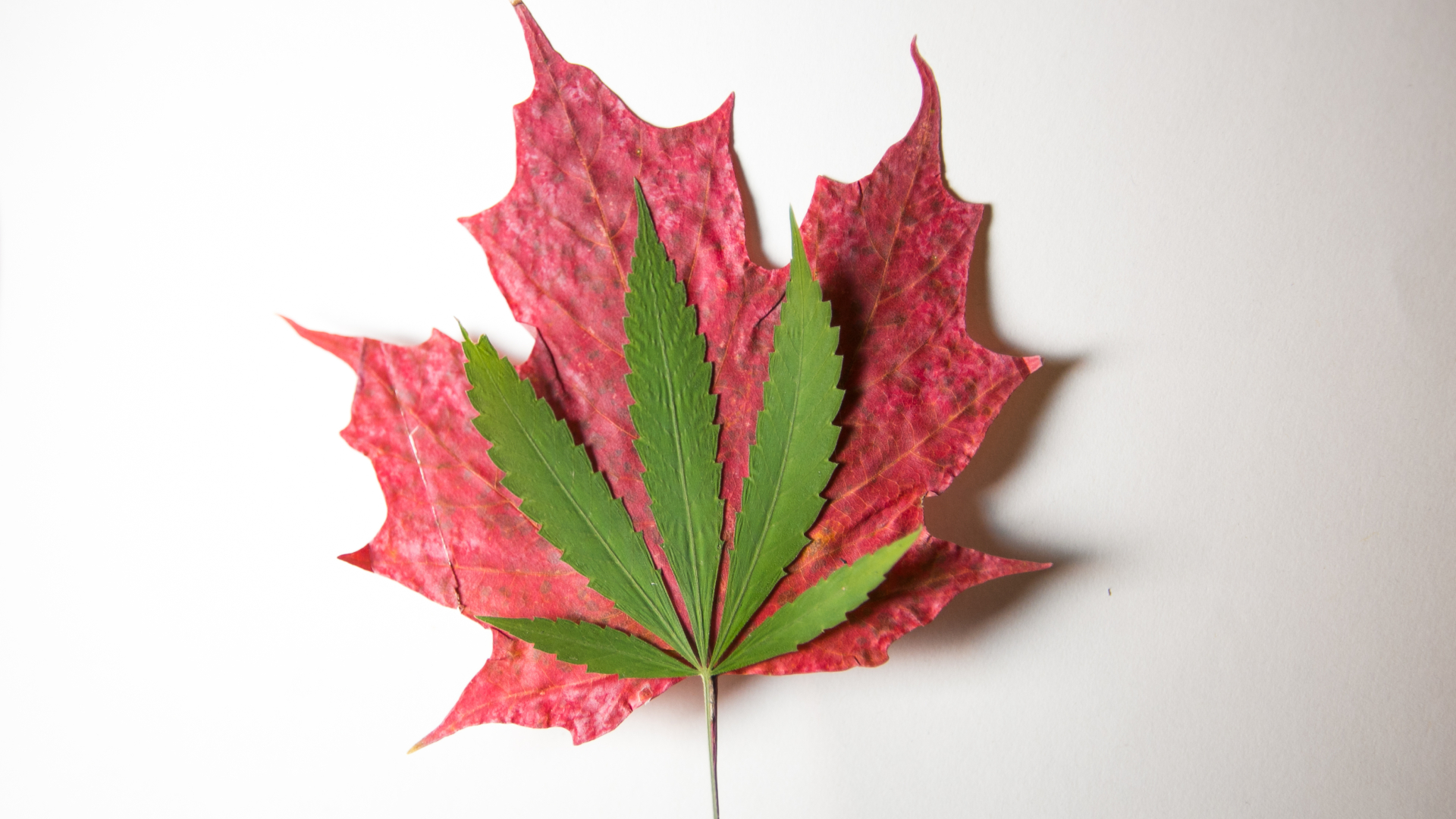 canada cannabis