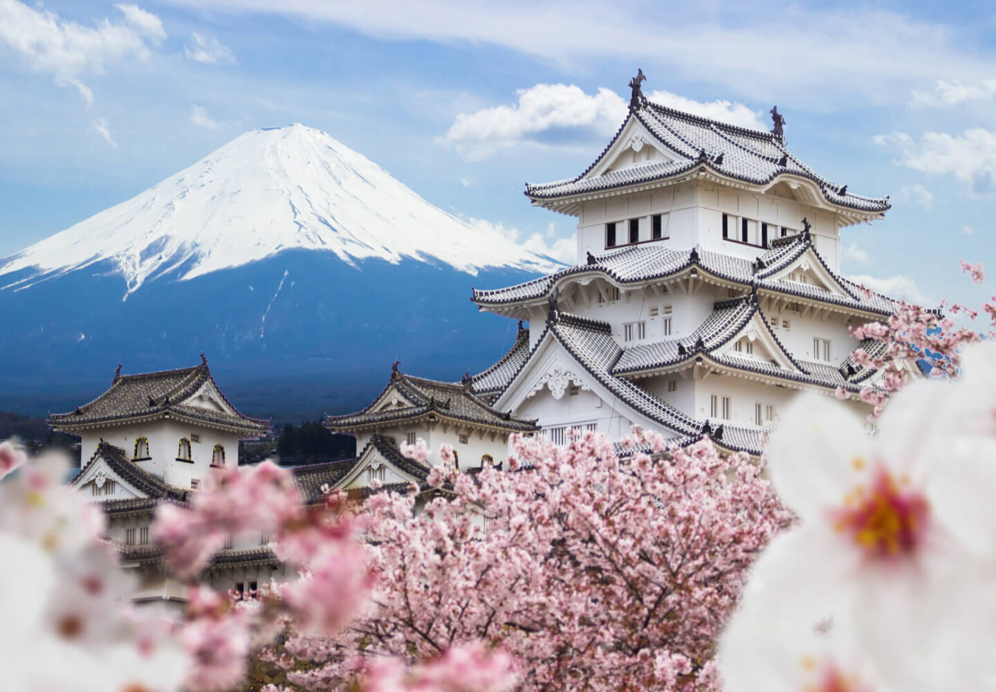 weed in japan