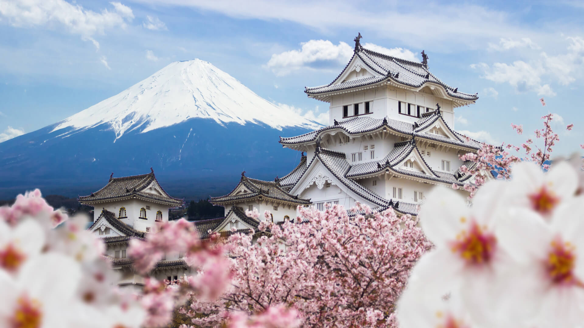 weed in japan