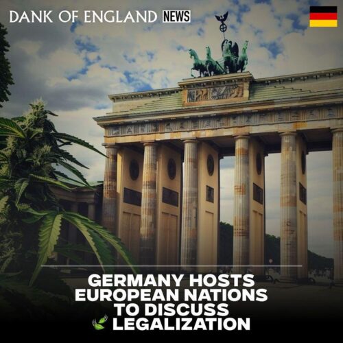 Germany Leads the Way in Cannabis Reform!